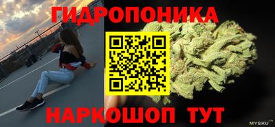 мдпв Аргун