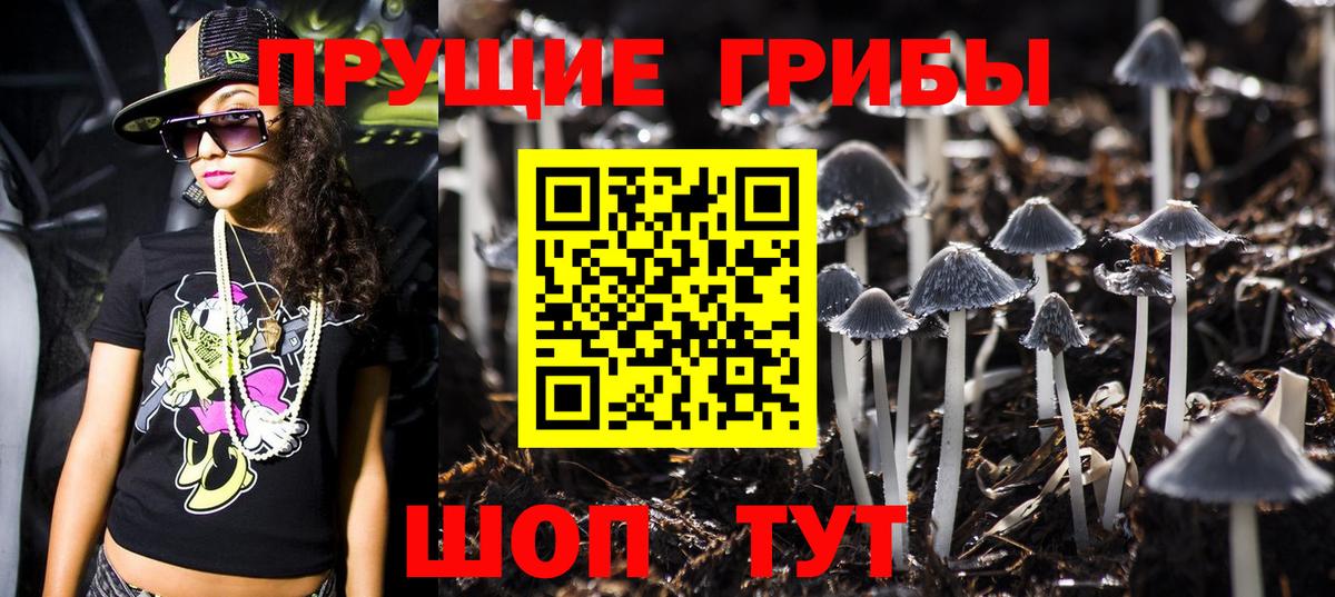Галлюциногенные грибы Cubensis  Вход с VPN  Псилоцибиновые грибы мухоморы  Борисоглебск 