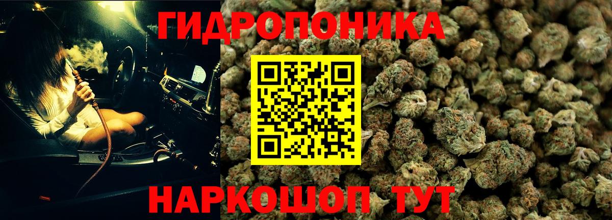 Конопля ГИДРОПОН Борисоглебск